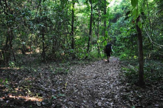 Caminhando na mata para o lodge Sirena, no Parque Nacional Corcovado, na Península de Osa, no sul da Costa Rica